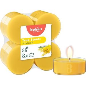 Bolsius - True Scents - Maxi - Geurtheelichten - 8 stuks per verpakking - Clear cup - Mimosa
