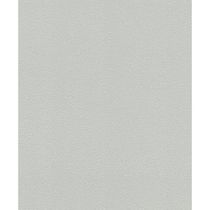 Rasch Behang 474930 - Unitbehang in lichtgrijs uit de collectie Het beste - 10,05 m x 0,53 m (L x B)