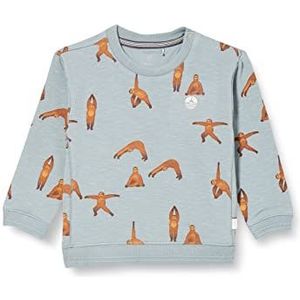Noppies Baby Baby-jongens jongens sweater Homyel Allover Print Pullover Vintage Petrol-P901, 62