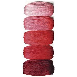 Rayher 53564286 katoenen garen ""Stitch & Knot"", rode tinten, 5 kleuren van elk 10 m (50 m), kruissteekgarenset, borduurgaren, knoopgaren, garen voor vriendschapsbandjes