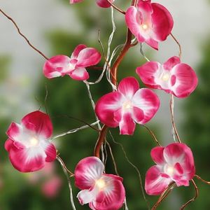 hellum Led-lichtsnoer voor binnen, met roze orchideeën, 10 leds, warm wit, met 1,35 m lengte, led-lichtketting met batterij, lichtketting bloemen, decoratie 300178