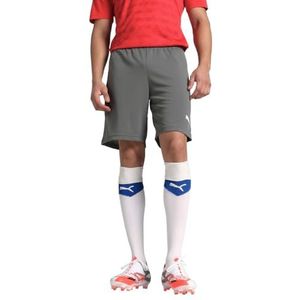 PUMA Voetbal teamRISE shorts heren grijs wit maat XXL