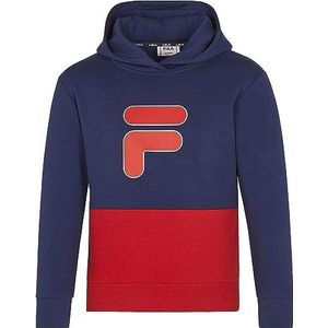 FILA Unisex kinderen Bielefeld Hoody Hoodie Wild Aster-True Red, 110/116