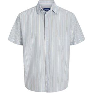 JACK & JONES Jorjoshua Canggu Stripe Shirt Ss voor heren, skyway, XL