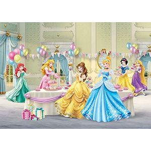 Disney Princess Fotobehang/gigantische muurposter blauw zwart papier, meerkleurig, 406 x 254 cm/141,7 x 100 inch