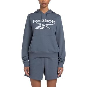 Reebok IDENTITY GROOT LOGO FLEECE HOODIE, Eacobl, S