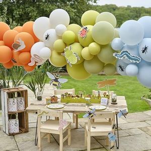 Ginger Ray Creepy Crawly Bugs Arch met 55 latexballonnen en 10 kaartuitsparingen, kinderverjaardagsdecoratie, meerkleurig
