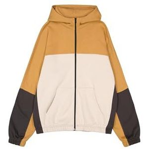 Champion Legacy C-Tech (220399) - Soft Compact Poly Fleece Full Zip Sweatshirt met capuchon, Tabak/Zilvergrijs (Tbo/SVL/PHA), S Heren, Tabak/Zilvergrijs (Tbo/Svl/Pha), S