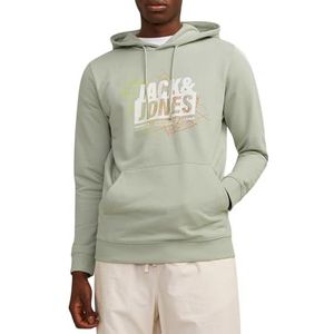 Jack & Jones JCOMAP Summer Logo Sweat Hood, Desert Sage/Detail:gradient Map - Solid Jj, S