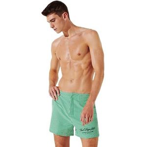 Hotel Karl Striped Boardshorts, Contrast Green Stripe, L, Contrast Green Stripe, L