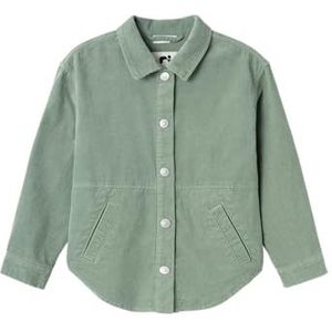 NAME IT Meisjes blouse met lange mouwen, Lily Pad, 134