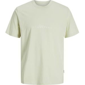 Jack & Jones Jorvarenna Branding Tee Ss Crew Neck, Celadon Tint, XS