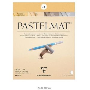 Clairefontaine 96017C Tekenblok Pastelmat (12 vellen, 24 x 30 cm, 360 g, met 4 transparante scheidingsbladen, speciaal karton ideaal voor pastel en krijt) lichtgeel, donkergrijs en lichtgrijs,Grijs/Geel/Wit.