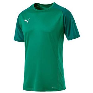 PUMA Herren T-shirt CUP Sideline Tee Core, Pepper Green-Alpine Green, 3XL, 656051