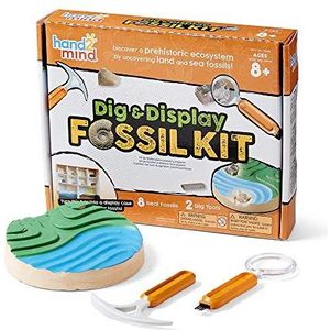 Learning Resources DIG & Display Fossiel Kit met Echt Fossiels en Met Feiten Gevuld Gids