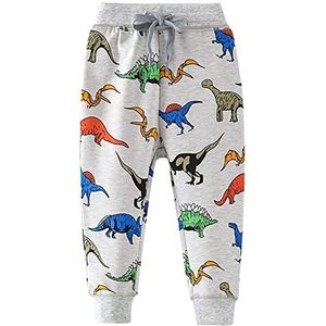 Pantaloni lunghi per ragazzi Broeken, kinderen en jongeren, Dinosaurus Grijs, 3-4 jaar
