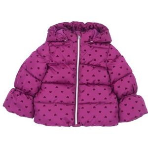 Chicco - Winterjas - Bessen - Gewatteerde Jas - Warm Gevoerd