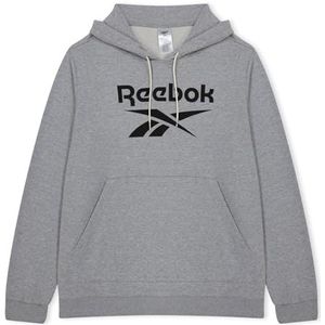 Reebok Heren Ri Ft Oth Bl Hoodie Sweatshirt