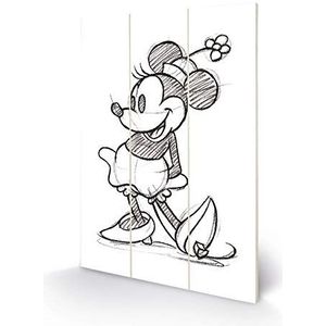 Disney MW11130P kunstdruk op hout, 20 x 29,5 cm (Minnie Mouse), meerkleurig, 5 x 1, 2 cm