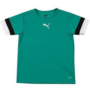 PUMA Unisex Teamrise Jersey Jr Shirt voor kinderen