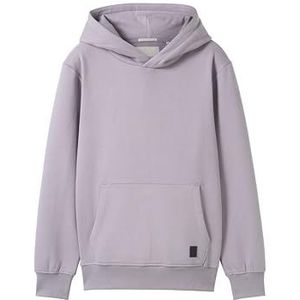TOM TAILOR Jongens kinderen hoodie sweatshirt met print op de rug, 36606 - Dusty Greyish Purple, 128