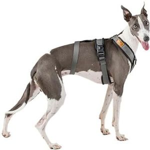 3-punts riem met anti-treksluiting, ideaal voor lebreles: Italiaanse windhond, Whippet, windhond, Podenco - veilig, ademend en duurzaam, perfect voor wandelen, training en hardlopen, antraciet, maat