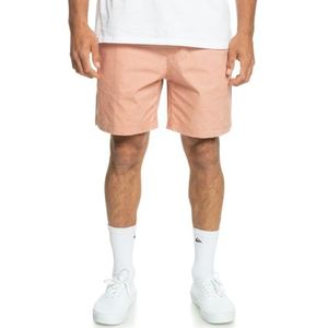 Quiksilver - Taxer WS herenshorts