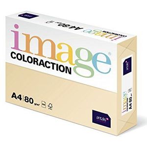 Coloraction 838A 080S 2 - Antalis kopieerpapier, DIN A4, 80 g/m², kleur: donker