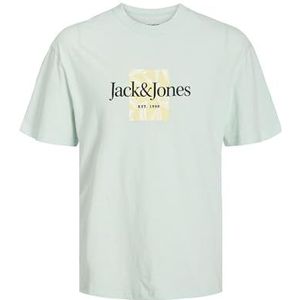 JACK & JONES Jorlafayette Branding Tee Ss Crew NEC Ln T-shirt voor heren, Skylight, M