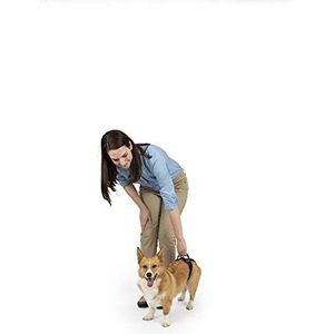 PetSafe CareLift Achtersteunharnas - Hefhulp met handvat, ideaal voor mobiliteit van huisdieren en oudere honden, comfortabel, ademend materiaal, eenvoudig aan te passen, klein, rood