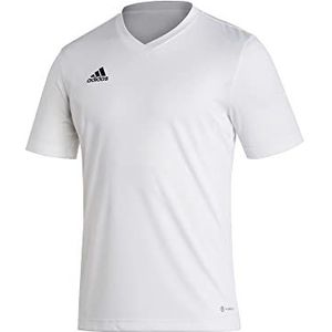 adidas, Entrada22, Voetbal T-shirt, Wit, XL, Man