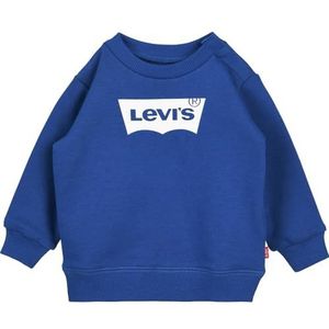 Sweater - Blue/White - Baby Uniseks - Lange Mouwen - Ronde Hals