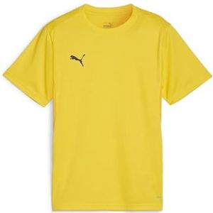 PUMA Unisex Teamgoal Jersey Jr Tee