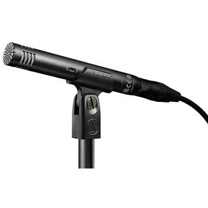 Audio-Technica AT2031 Cardioïde Condensatormicrofoon met Eindrichting voor Strijkinstrumenten in kritische studio- en live-toepassingen.
