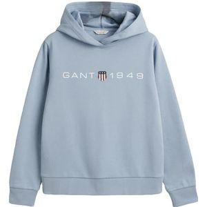 GANT Reg Printed Graphic Sweatshirt met capuchon voor dames, Blauw (duif), 3XL