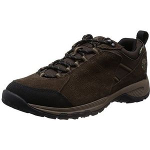 Timberland Translite 2.0 Ftp_tilton Low Leather Gtx, Trekking- en wandelschoenen voor heren, Bruin Donker Bruin, 49 EU