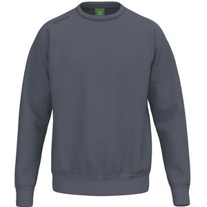 Erima Unisex TS Basic Sweatshirt (2072589) Slate Grey, S
