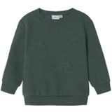 Name It - Nmmnolan Ls Nreg - Sweatshirt - Garden Topiary - Jongens