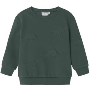 Name It - Nmmnolan Ls Nreg - Sweatshirt - Garden Topiary - Jongens