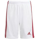 adidas Squad 21 SHO Y Kindershorts