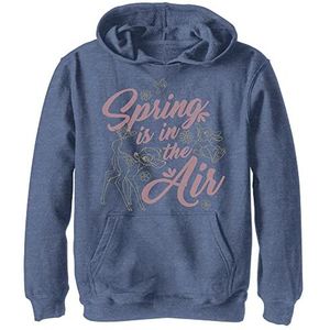 Disney jongens Lentebos Sweatshirt met capuchon Marineblauw Heather L
