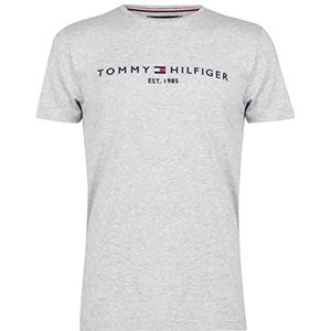 Tommy Hilfiger Tommy Logo Tee Sporttop voor heren, Cloud Htr, S