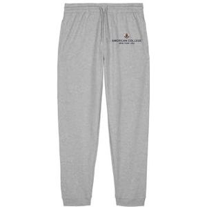 AMERICAN COLLEGE USA Joggingbroek voor heren, grijs, maat L, Grijs, L