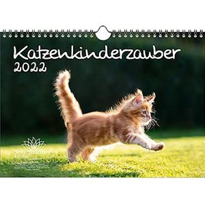Seelenzauber Jonge Katten DIN A4 Kalender Voor 2022