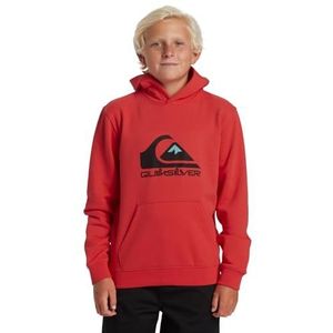 Quiksilver Big Logo Hoodie Youth Sweatshirt met capuchon voor jongens (1 stuk)