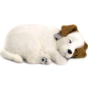 Perfect Petzzz 4909 - pluche - hond Jack Russel