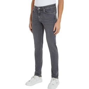 Calvin Klein Jeans Slim Fit Jeans voor heren, grijs, 29W / 34L
