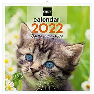 Finocam - Kalender 2022 30 x 30 - 300 x 300 mm muurschilderingen voor het schrijven van katalaanse katten