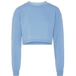 Sanika Damessweatshirt met lange mouwen 100% polyester met ronde hals lichtblauw maat M trui, M, Lichtblauw, M