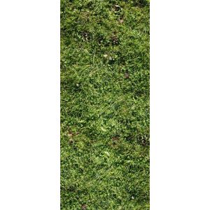 Zelfklevend deurbehang fotobehang ""Grassland"" - hoogwaardige vinylfolie - Made in Germany